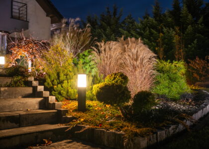 Landscape lighting in a Florida backyard lit up at night.