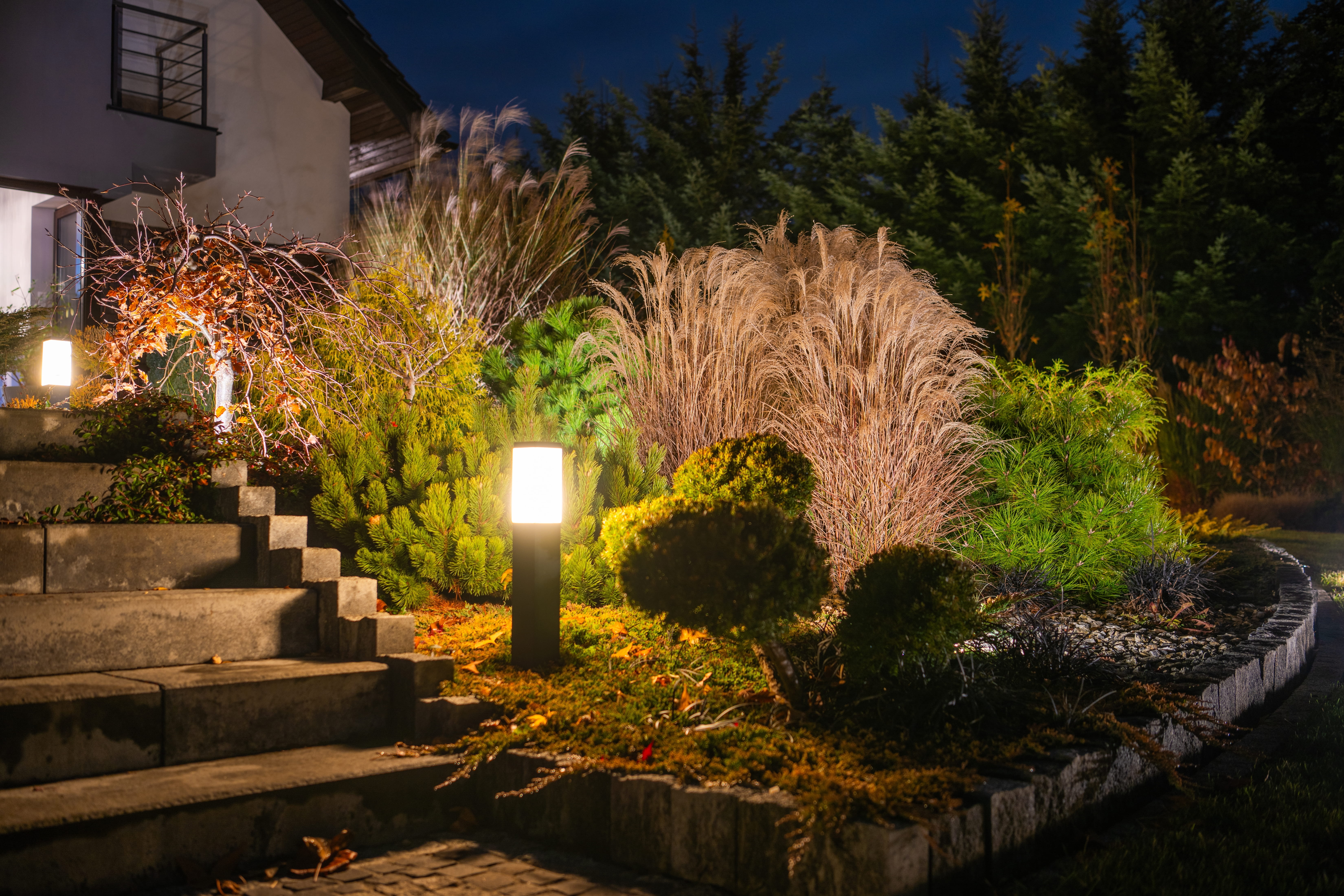 Landscape lighting in a Florida backyard lit up at night.