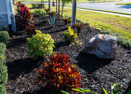 SGMA_Landscaping_Plants_Rocks