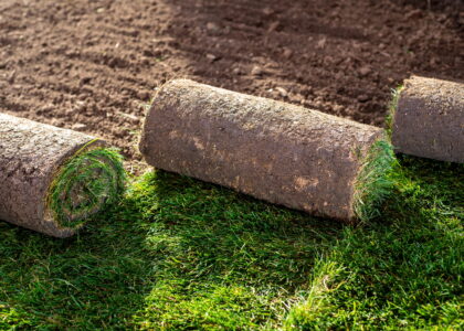 sod_installation