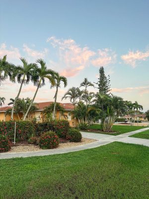SGMA_homepage_home_landscaping(1)